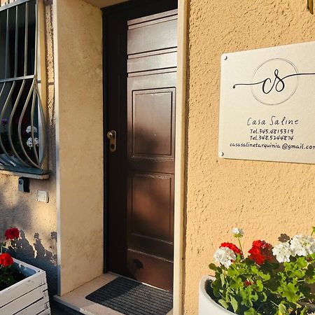 Casa Saline Daire Tarquinia Dış mekan fotoğraf